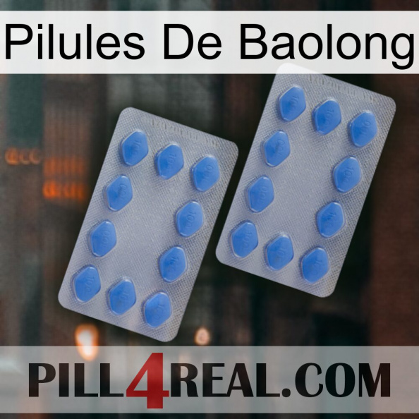 Baolong Pills 20.jpg